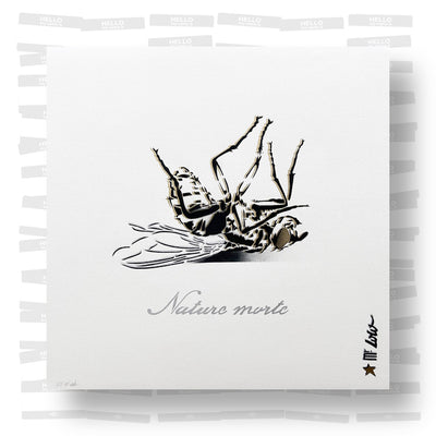 Mr. Lolo - Nature Morte