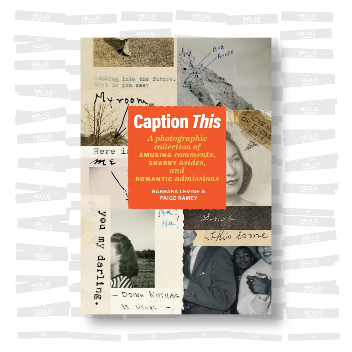 Caption This: A Photographic Collection of Amusing Comments, Snarky Asides, and Romantic Admissions