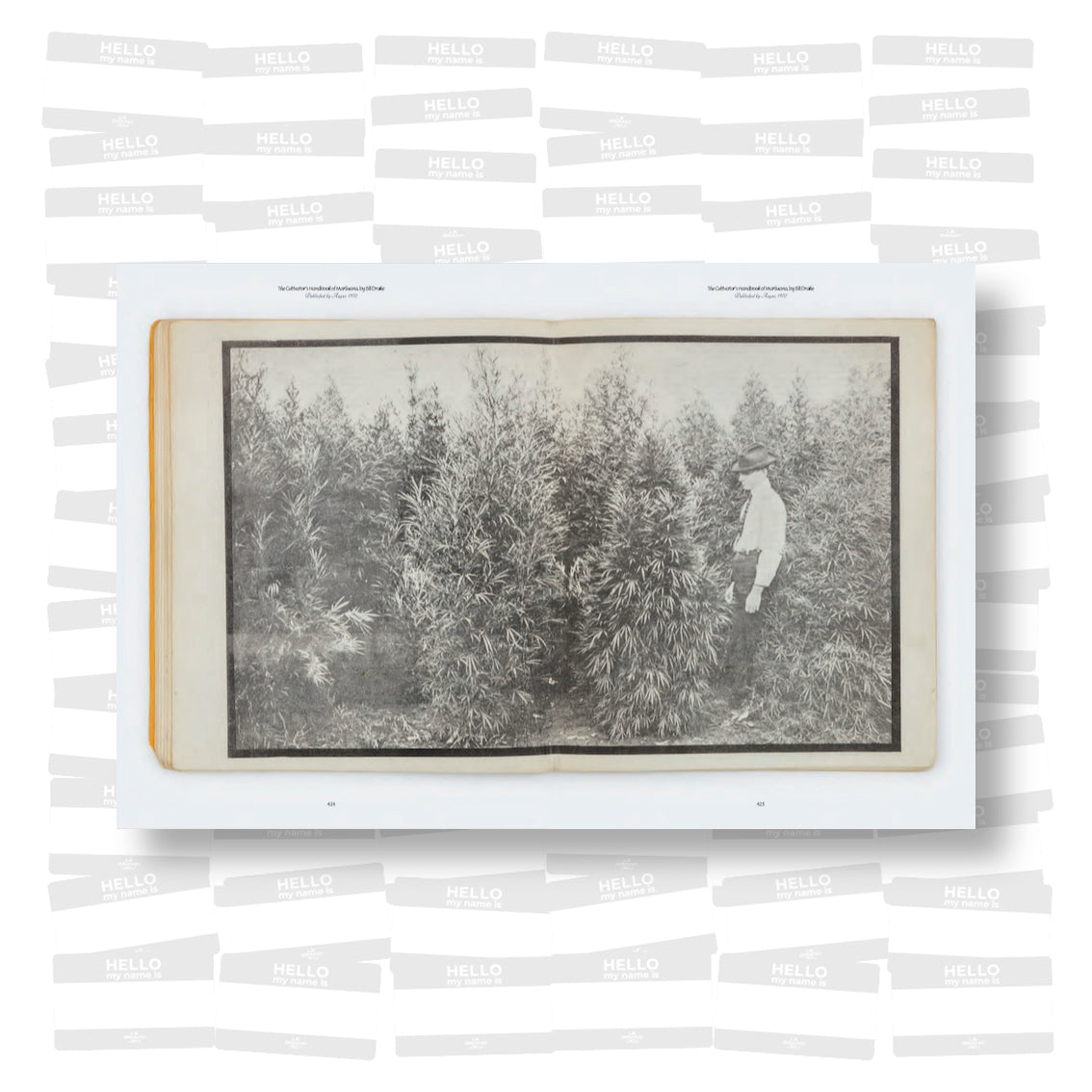 Heads Together – Weed and the Underground Press Syndicate, 1965–73