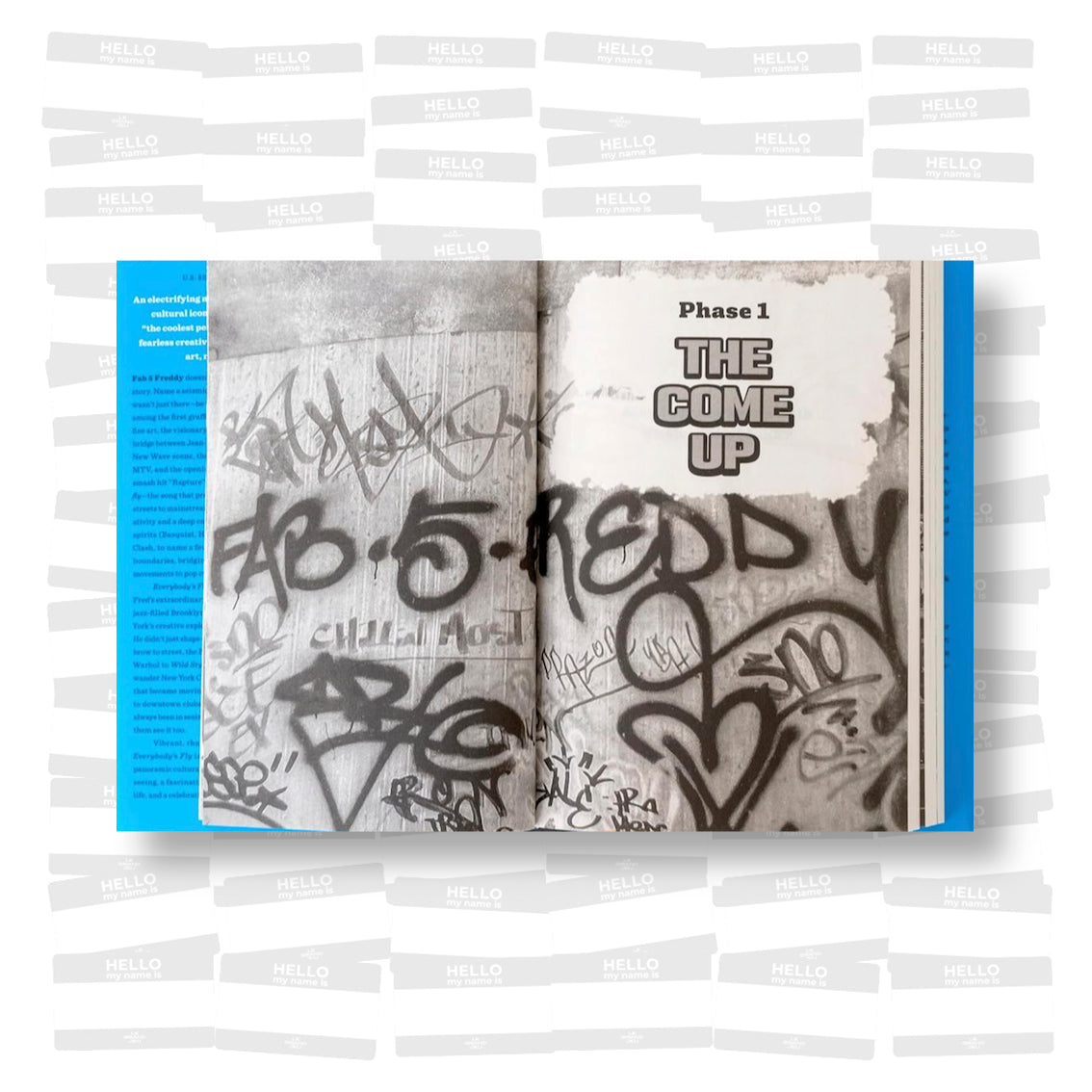 Fab 5 Freddy - Everybody's Fly: A Life of Art, Music and Changing the Culture