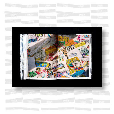 Flight Mode  - Gradient Descent