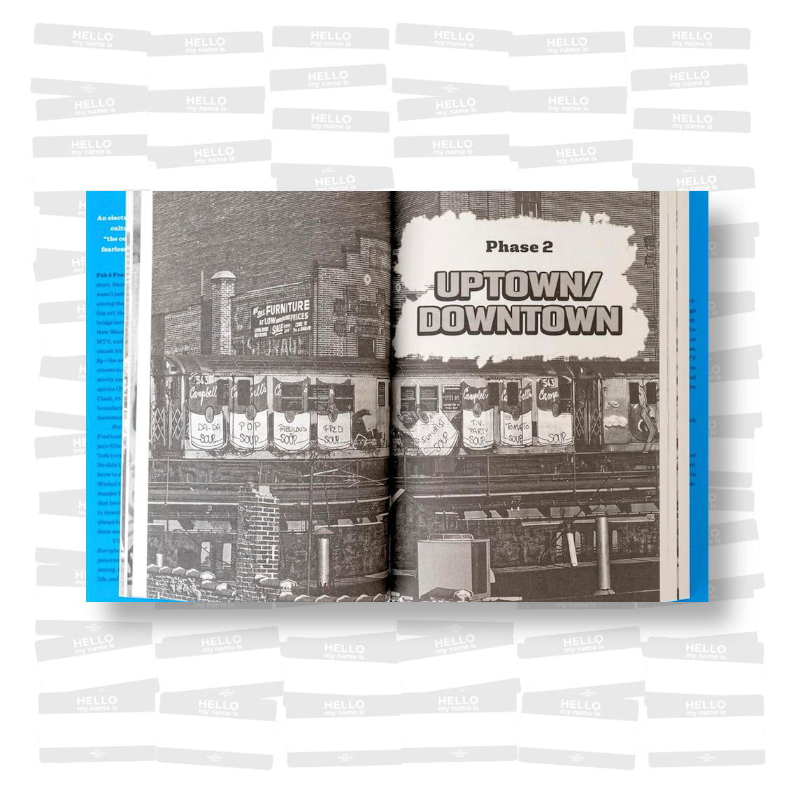 Fab 5 Freddy - Everybody's Fly: A Life of Art, Music and Changing the Culture