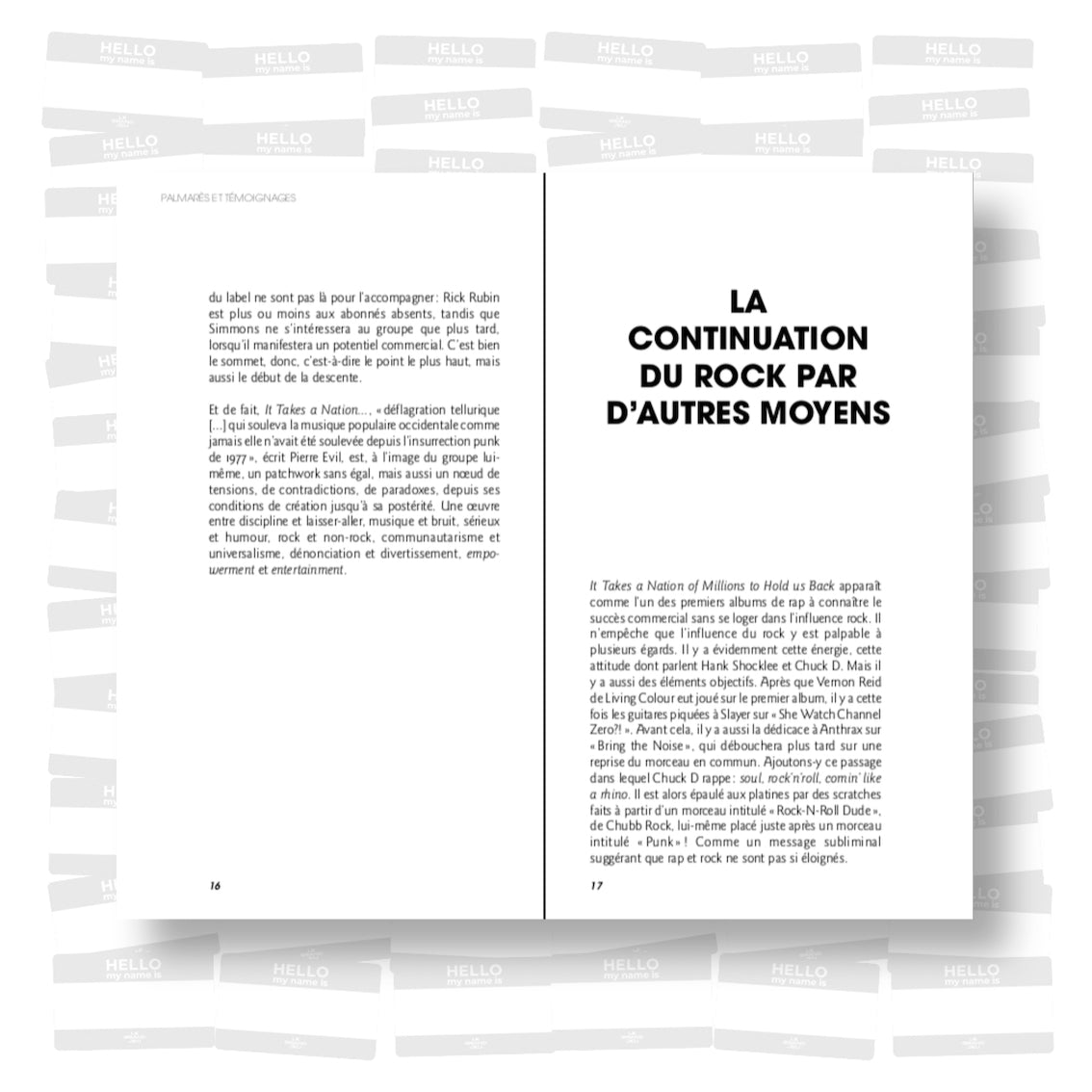 Grégory Salle - Public Enemy: It Takes a Nation of Millions to Hold Us Back