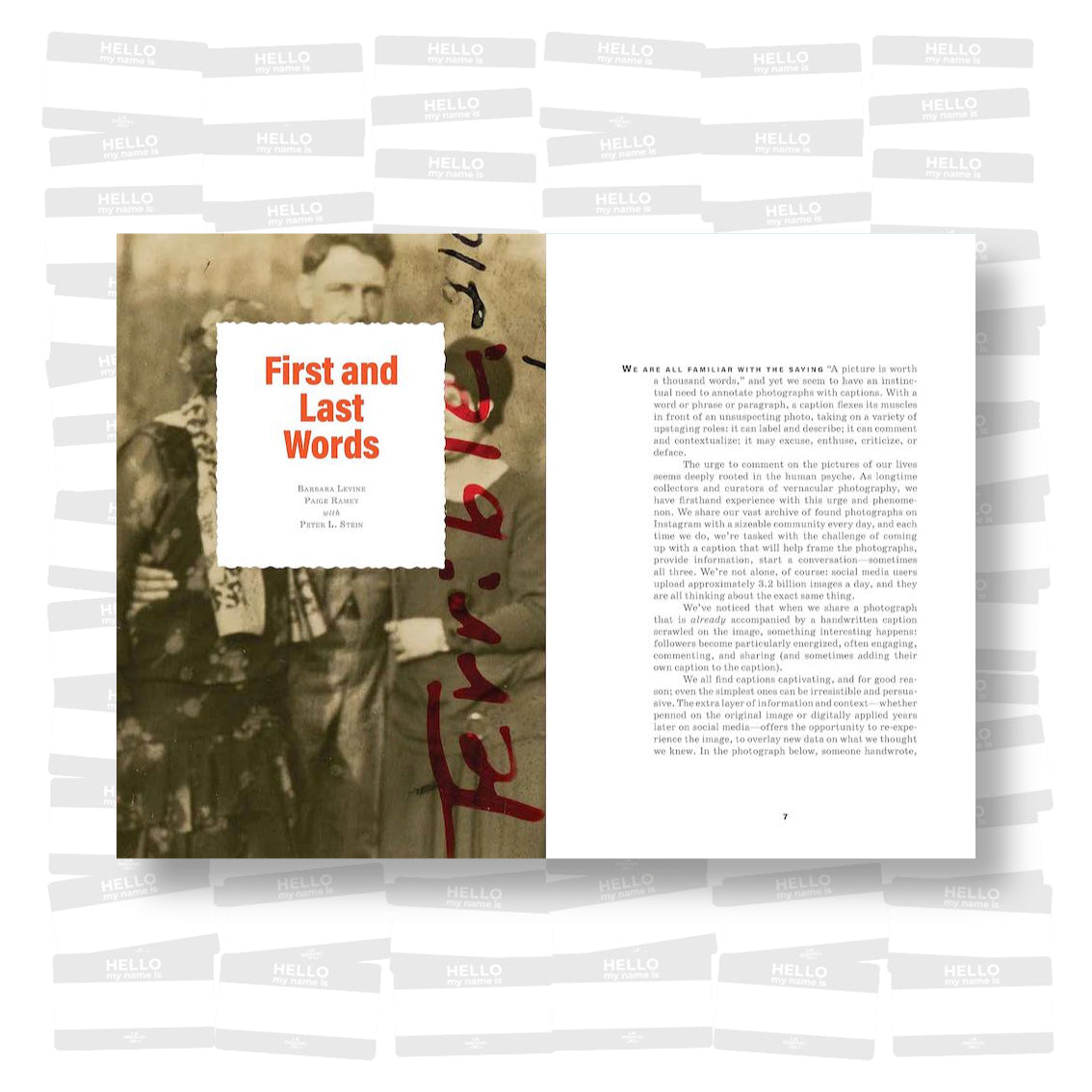 Caption This: A Photographic Collection of Amusing Comments, Snarky Asides, and Romantic Admissions