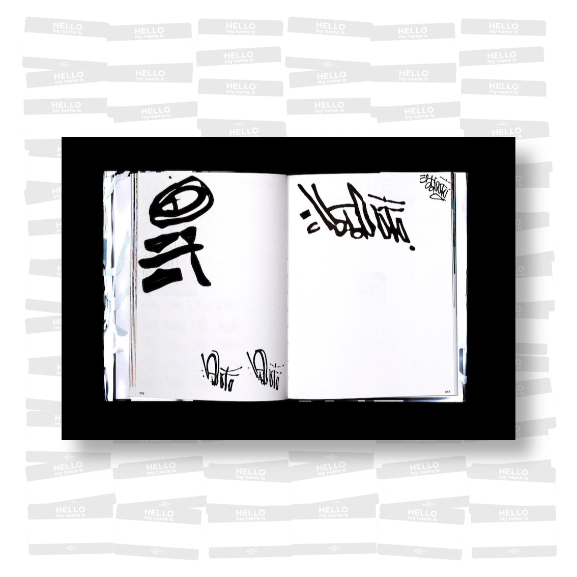 Flight Mode  - Gradient Descent