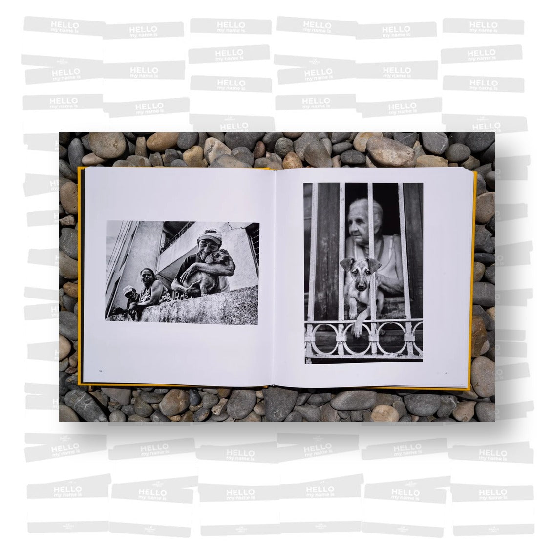 Alan Schaller – Street Safari