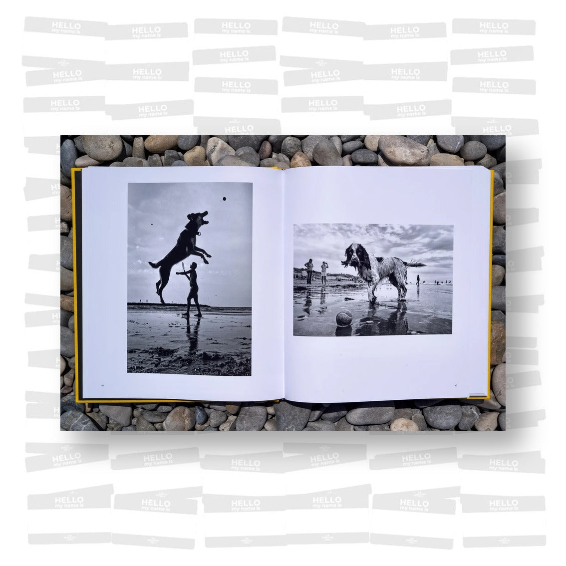 Alan Schaller – Street Safari