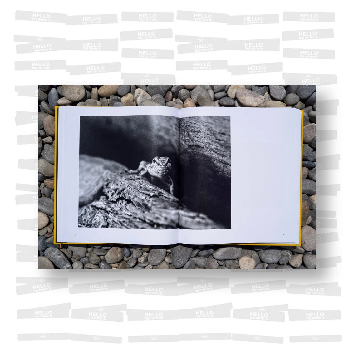 Alan Schaller – Street Safari