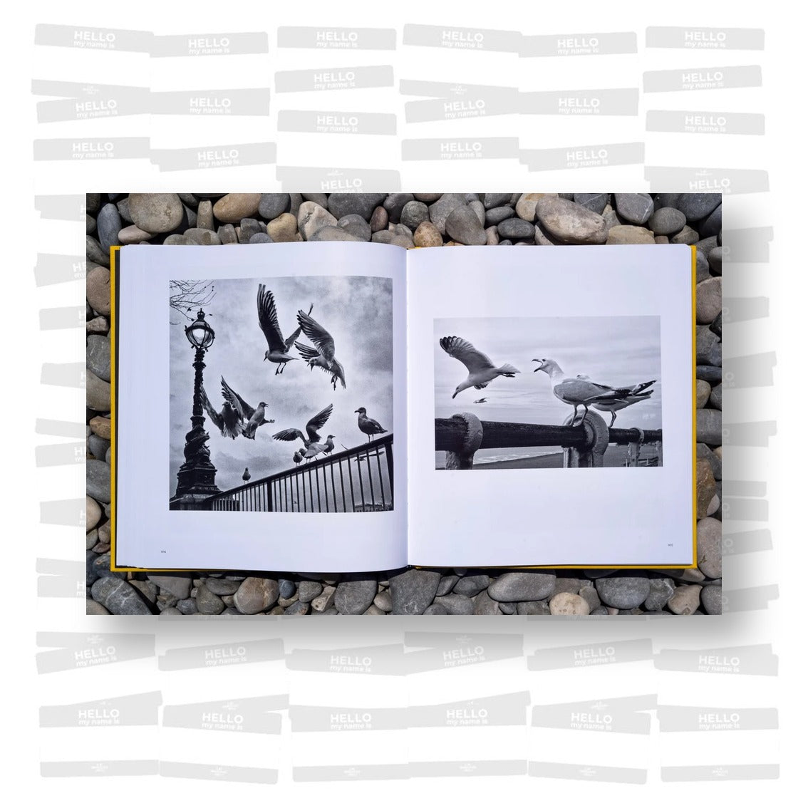 Alan Schaller – Street Safari