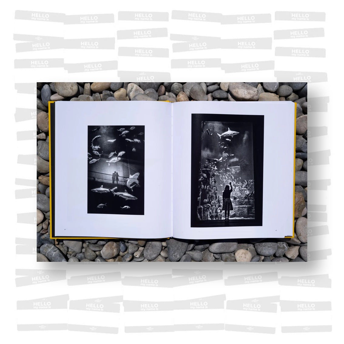 Alan Schaller – Street Safari