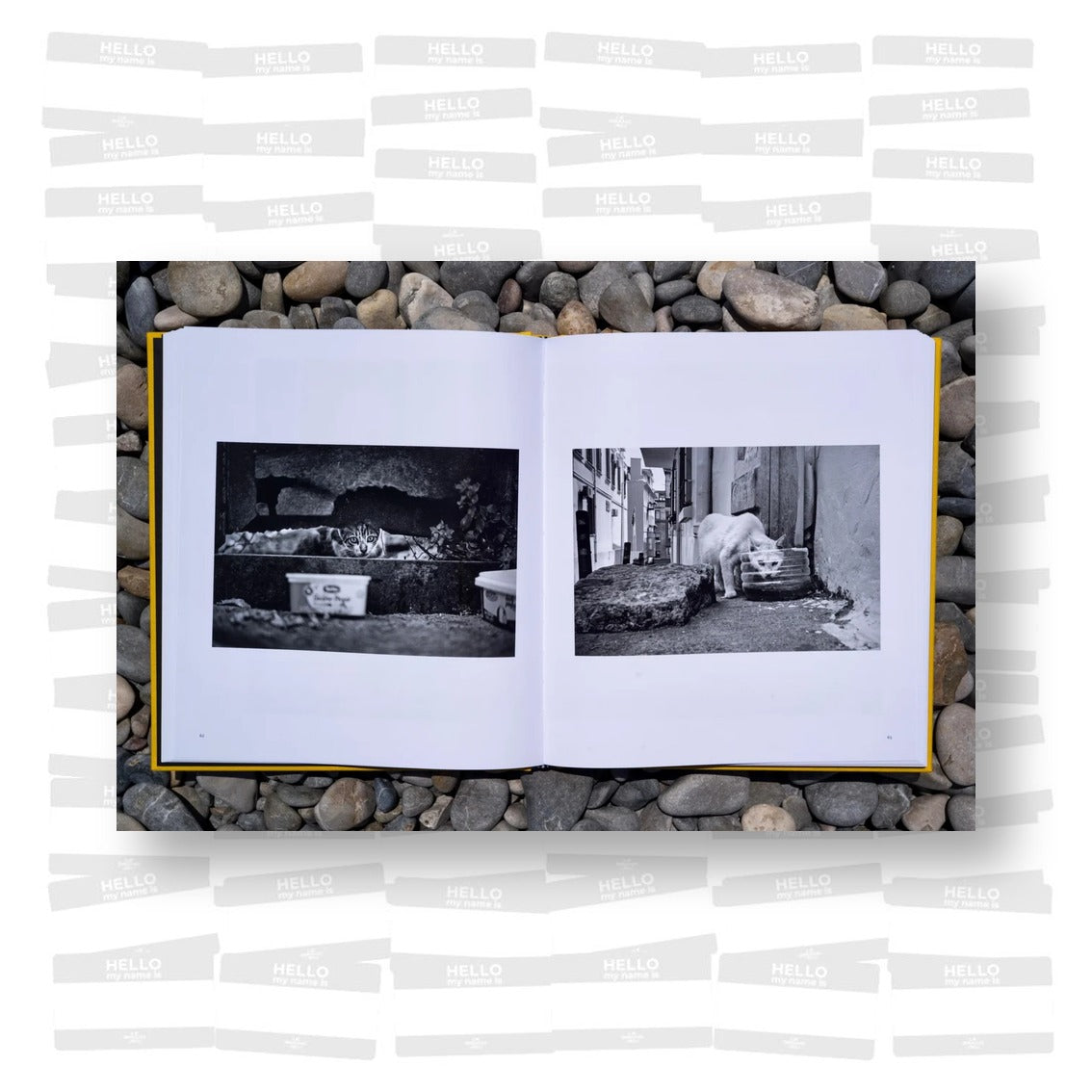 Alan Schaller – Street Safari