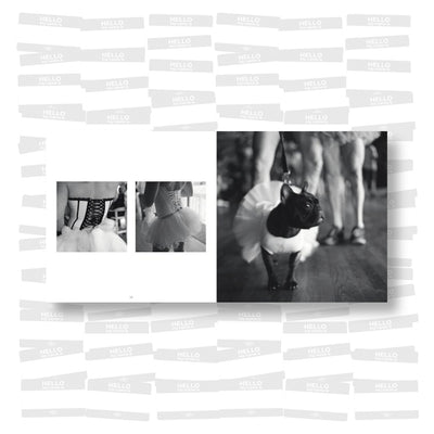 Anderson Zaca - Fire Island Invasion. Day of Independence