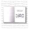 Andrea d'Avossa & Mathieu Imbert - Capuzzelle