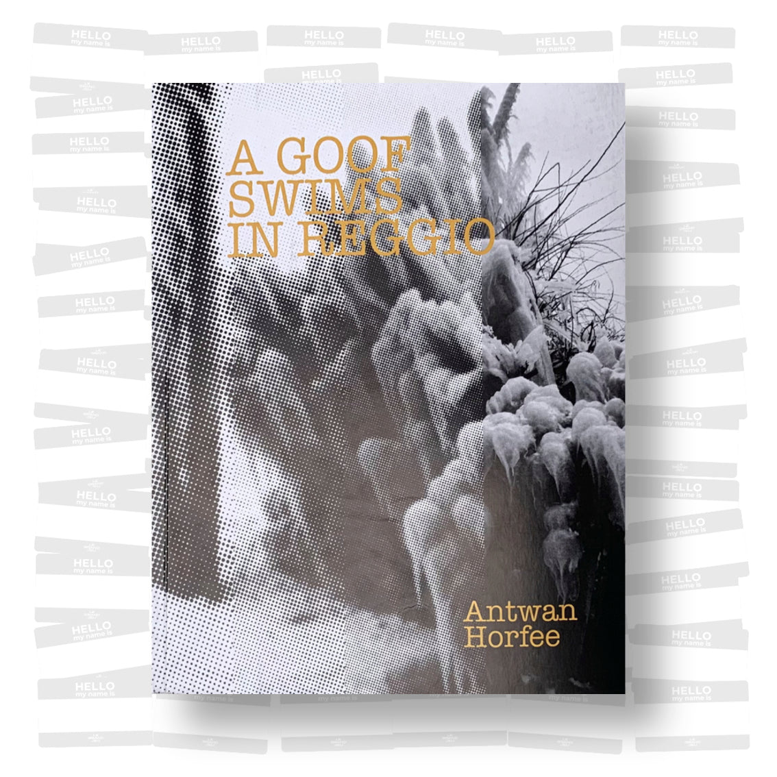 Antwan Horfée - A goof swims in Reggio