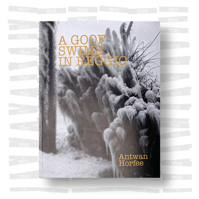 Antwan Horfée - A goof swims in Reggio