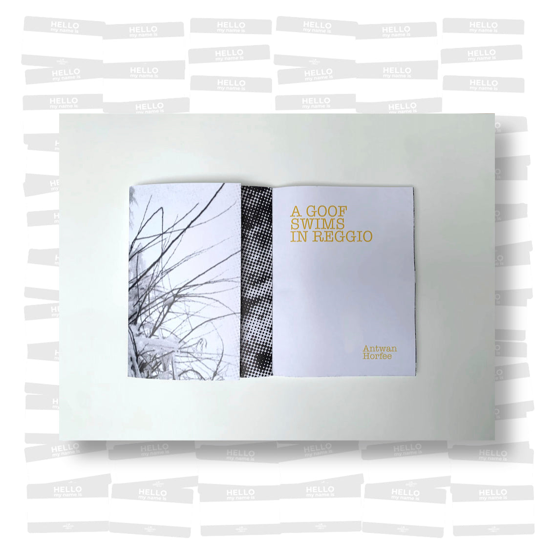 Antwan Horfée - A goof swims in Reggio