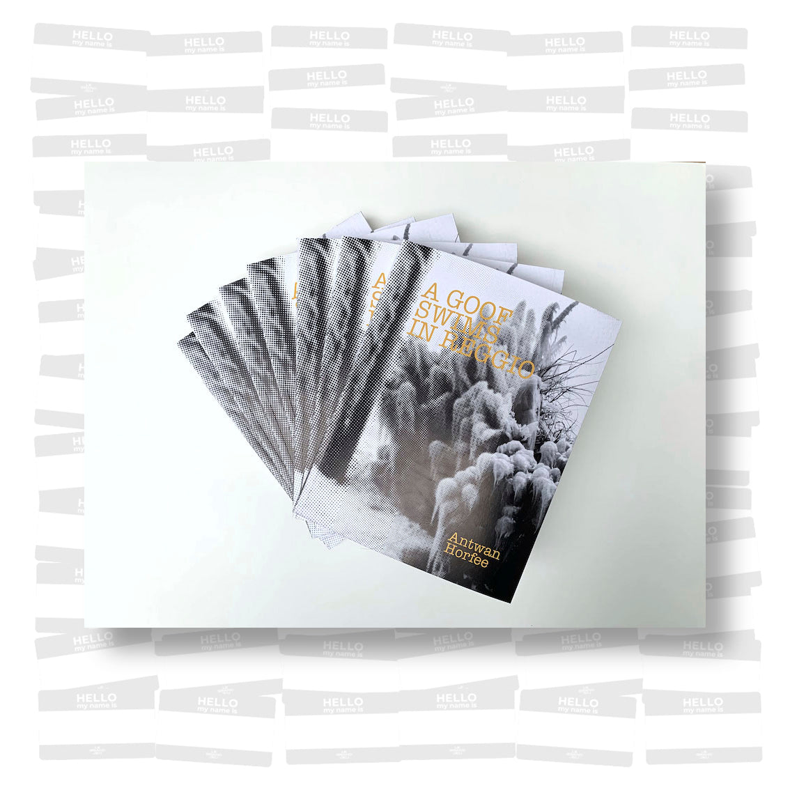 Antwan Horfée - A goof swims in Reggio