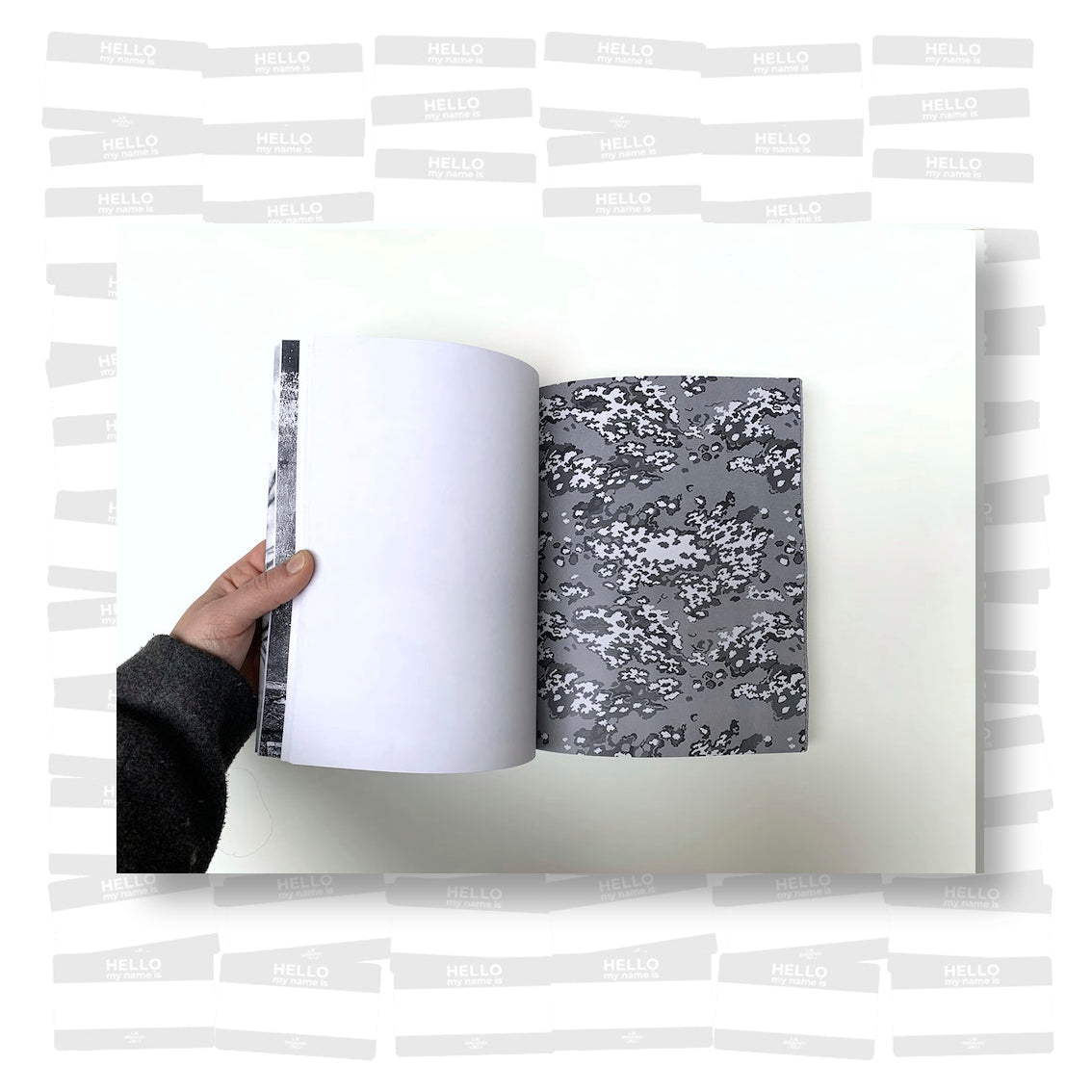 Antwan Horfée - A goof swims in Reggio