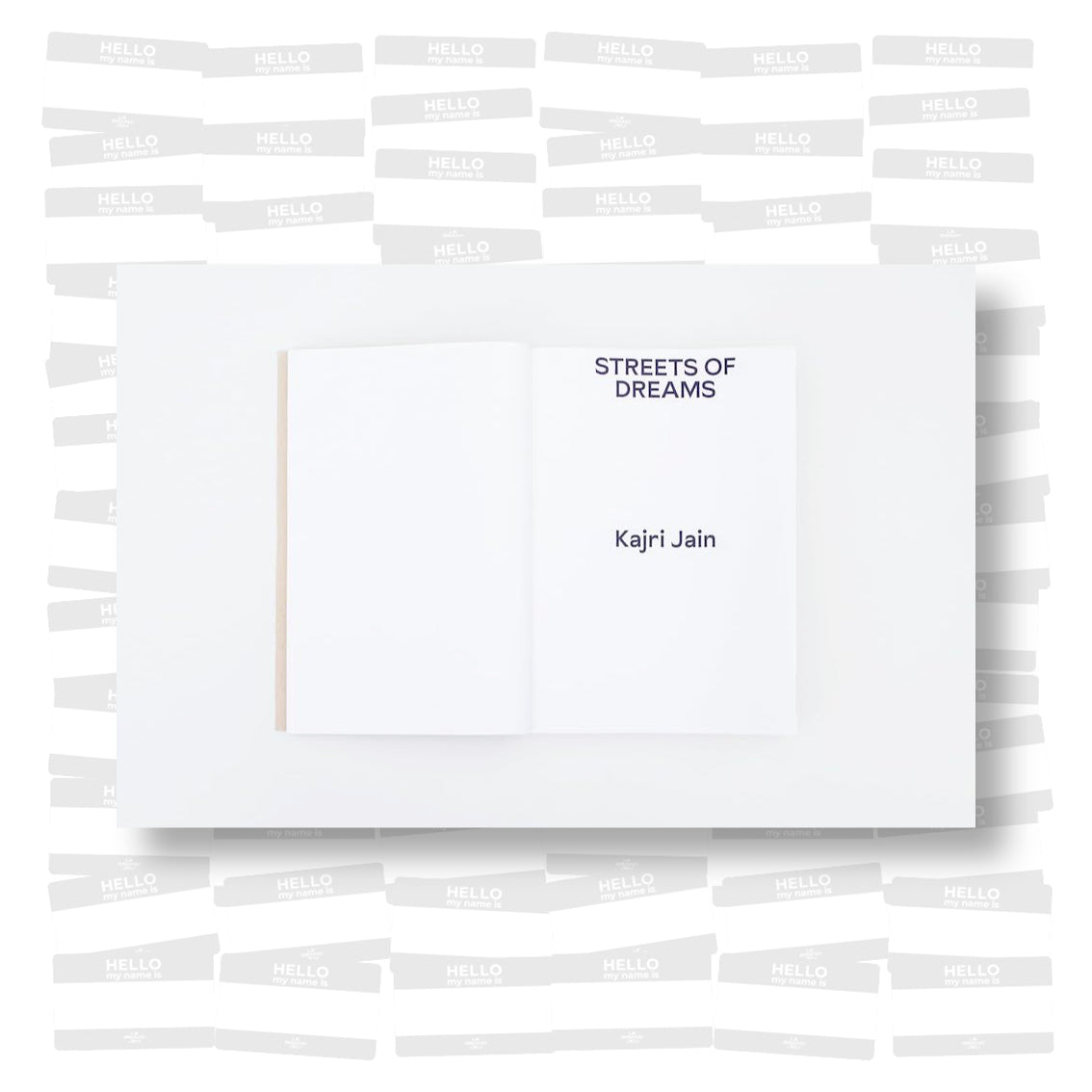 Aradhana Seth - Sadak. Hand painted street signs in India