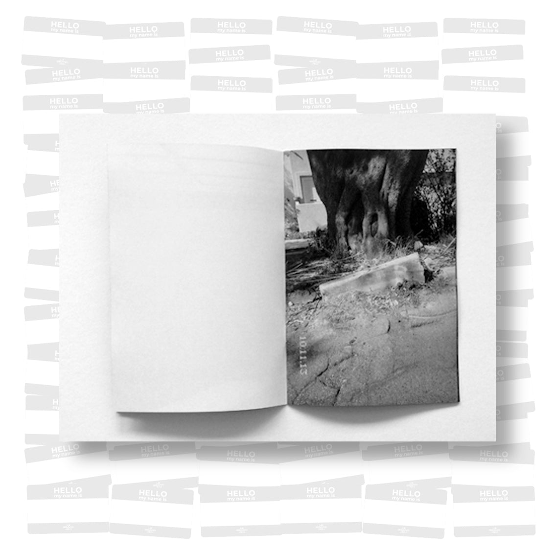 Ari Marcopoulos - Wandering