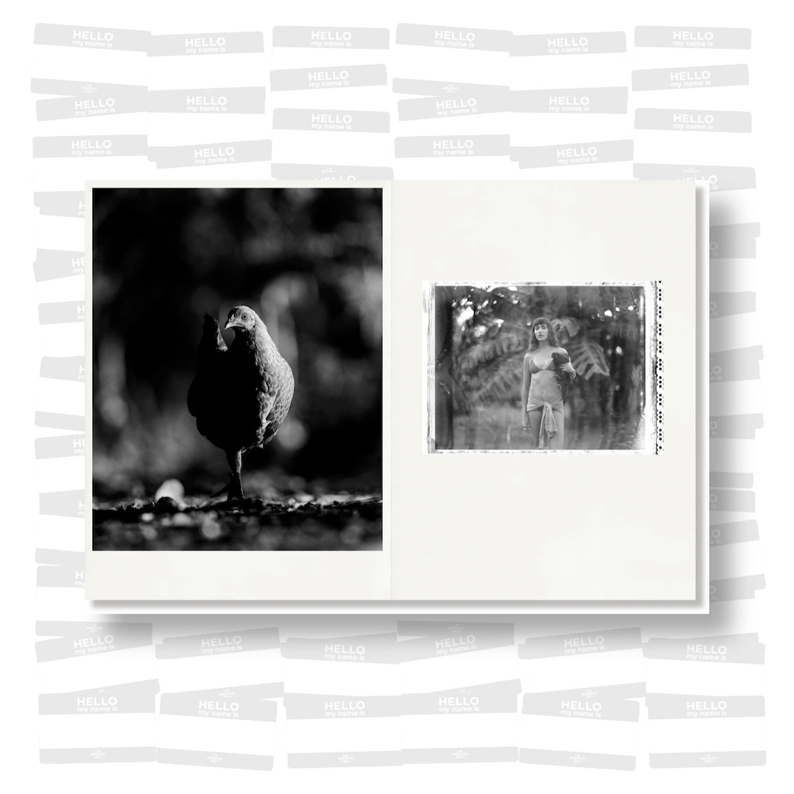 Arto Saari - Bike Path