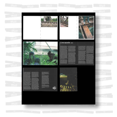 BadYear85 - L'Escapade