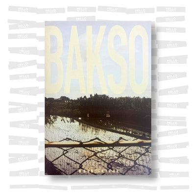 Bakso. Bali, Indonesia