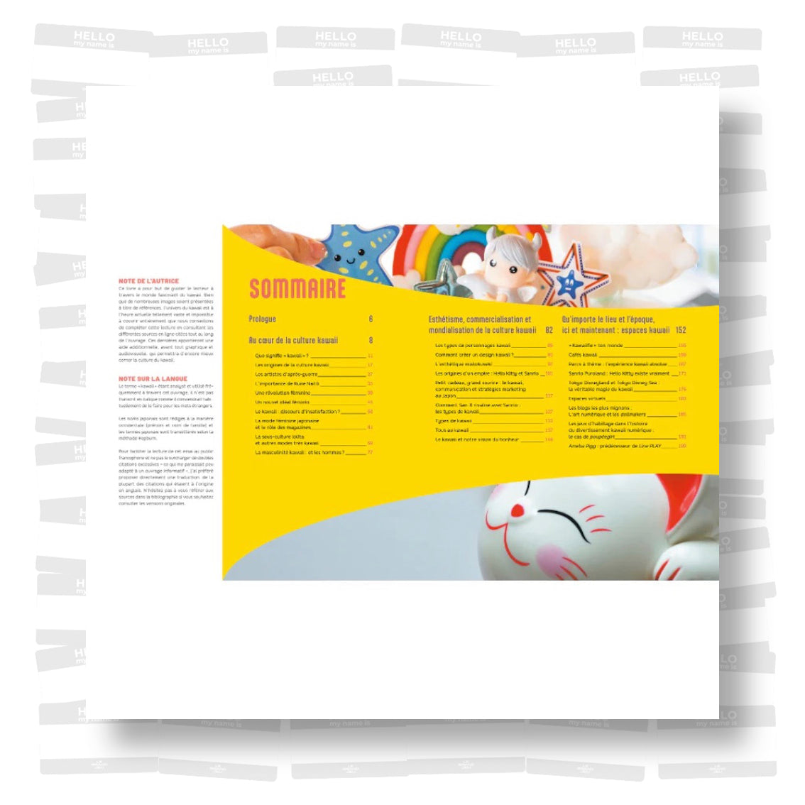 Barbara Fernandez Garcia - Guide du Kawaii