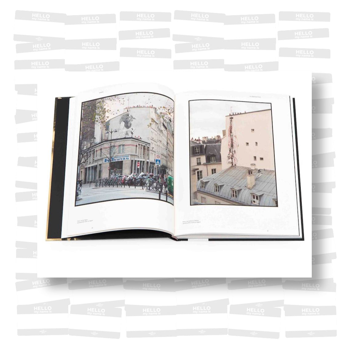 Bonom, le singe boiteux