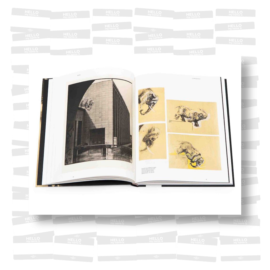 Bonom, le singe boiteux