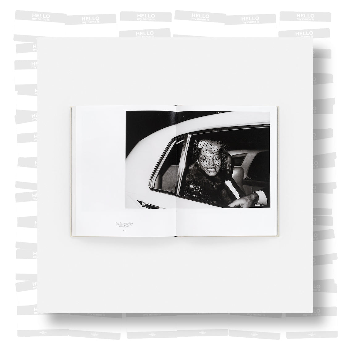 Coreen Simpson: A Monograph