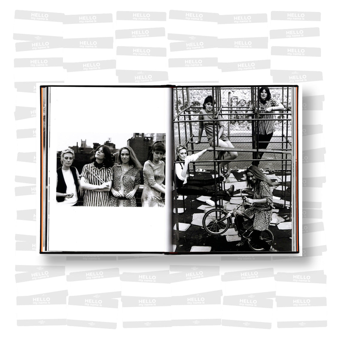 DB Burkeman - Crash Bang: Pictures from a Punk