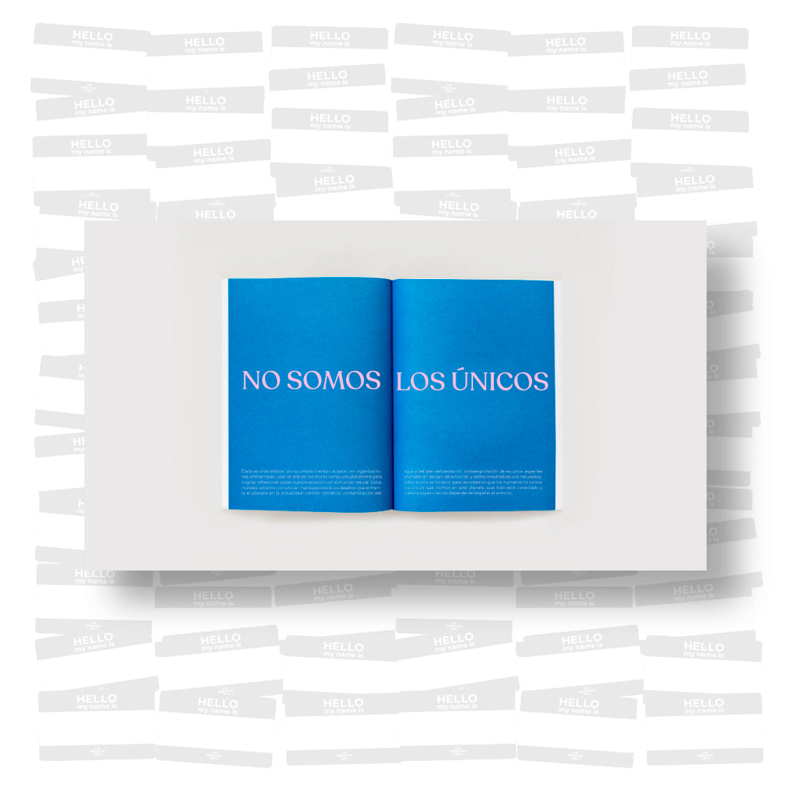 Cynthia Arvide Sousa - Muros Somos. 33 murales con historia