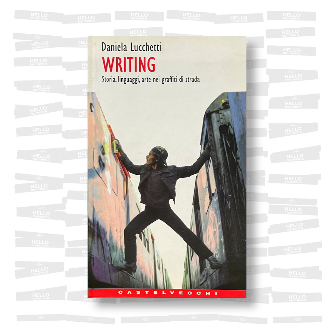 Daniela Lucchetti - Writing: Storia, linguaggi, arte nei graffiti di strada