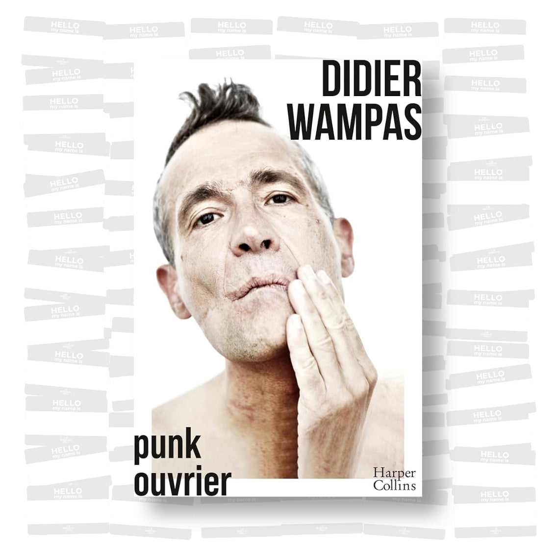 Didier Wampas - Punk ouvrier