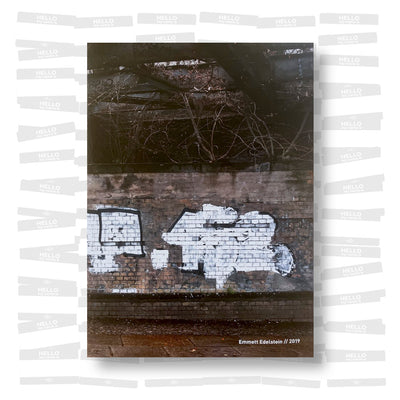 Emmett Edelstein: 2019