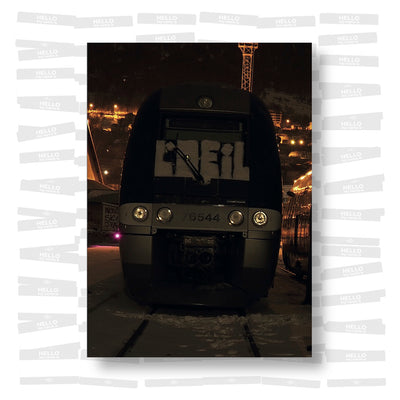 Fuzine #6 - Special Coursades #5