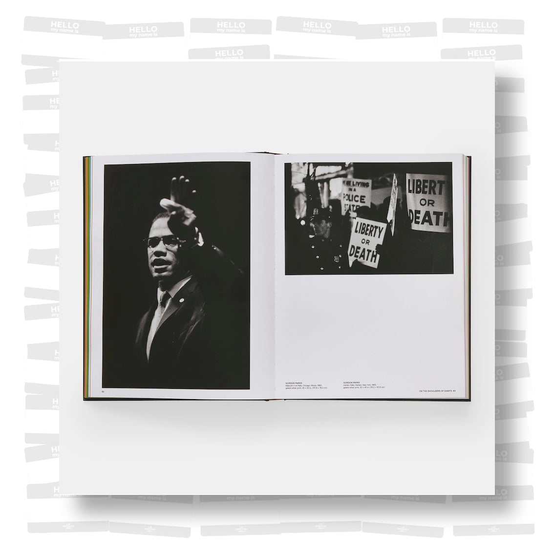 Giants: Art from the Dean Collection of Swizz Beatz and Alicia Keys