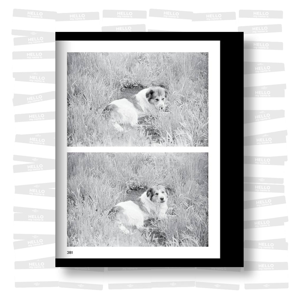 Gordon Matta-Clark - Passing Through Moving in and Getting Away With It (PRE-ORDER)