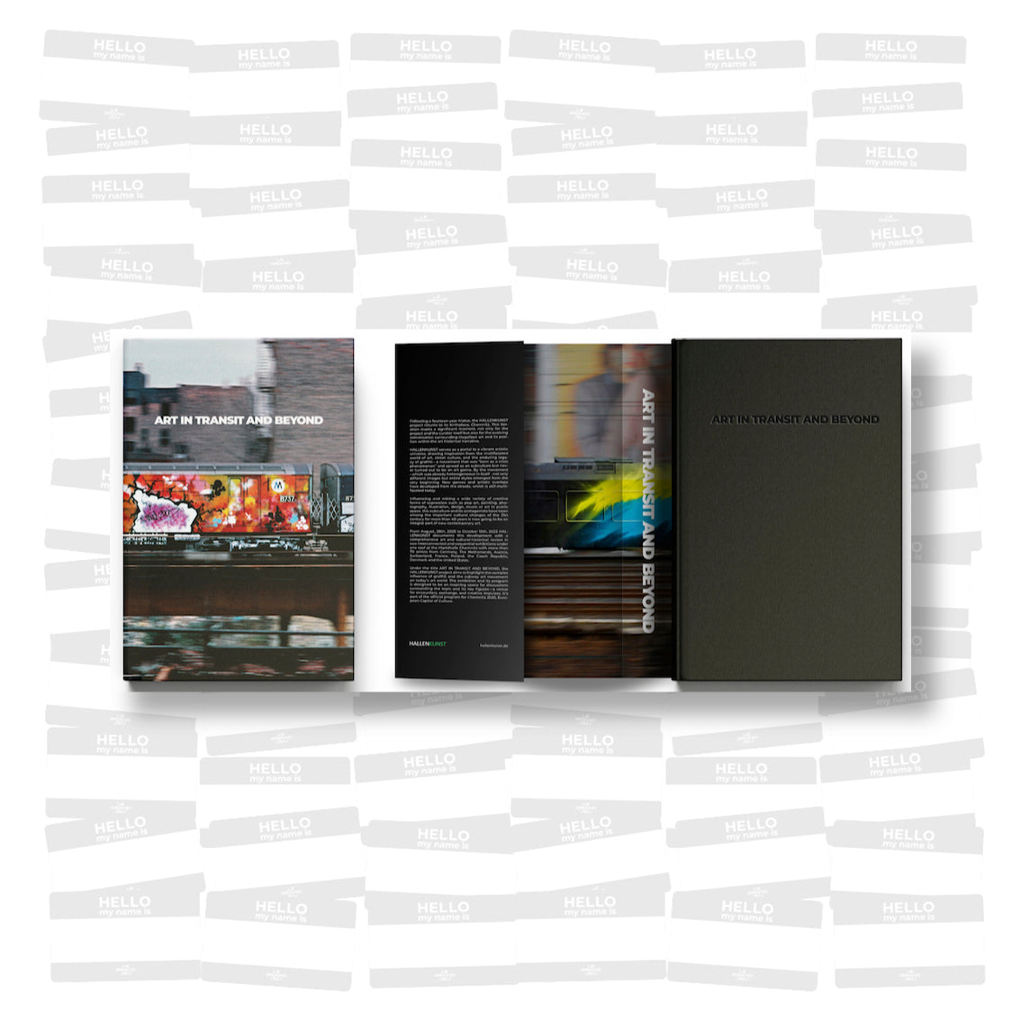 Hallenkunst: Art in Transit and Beyond