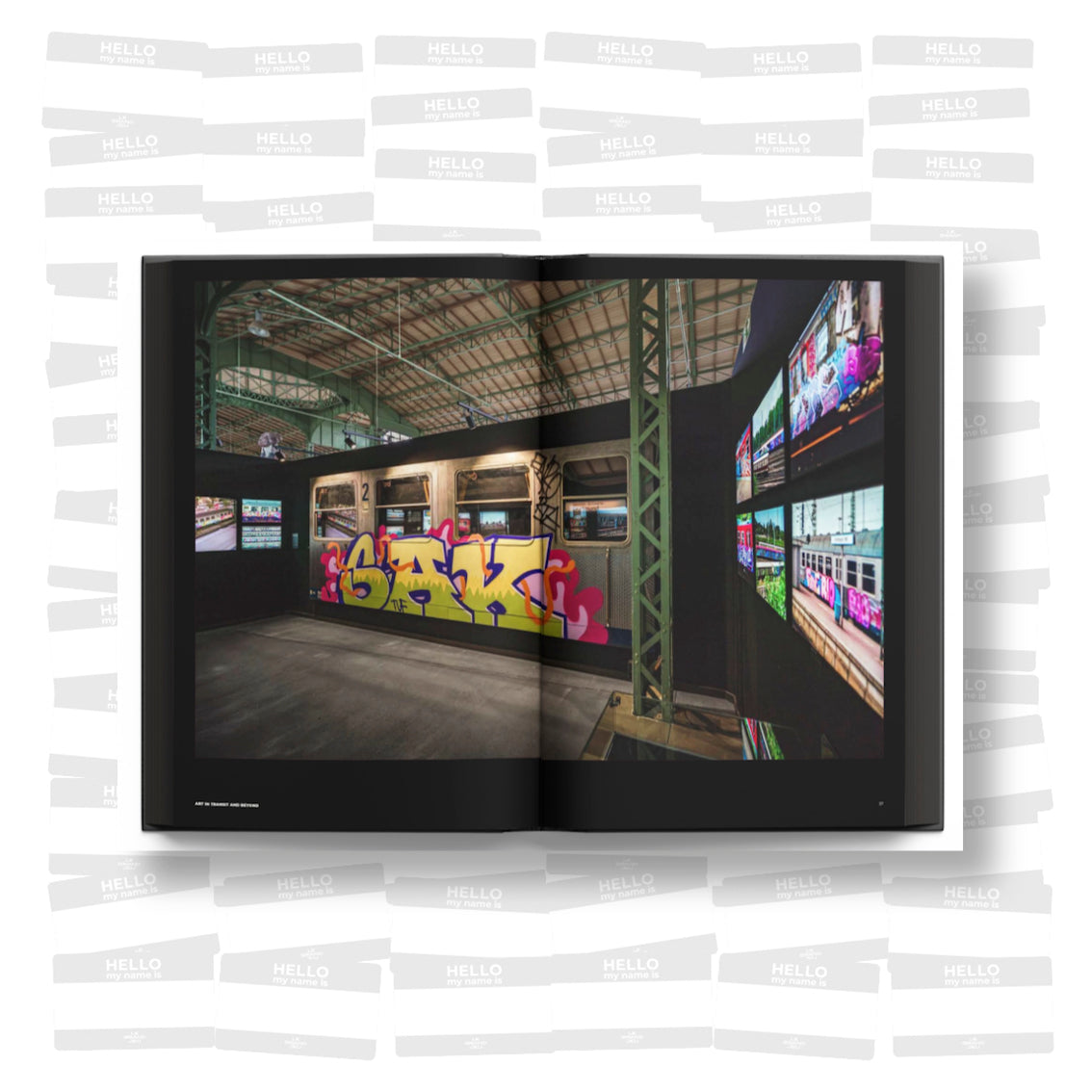 Hallenkunst: Art in Transit and Beyond