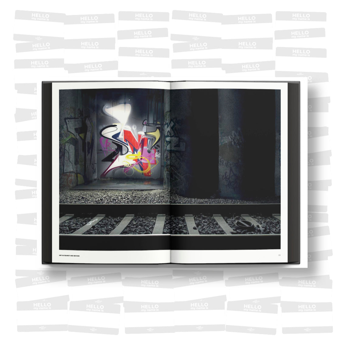 Hallenkunst: Art in Transit and Beyond