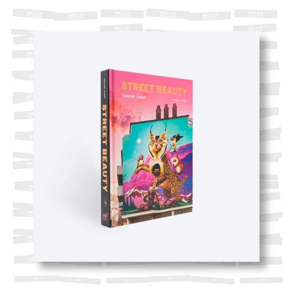 Hannah Judah - Street Beauty (PRE-ORDER)