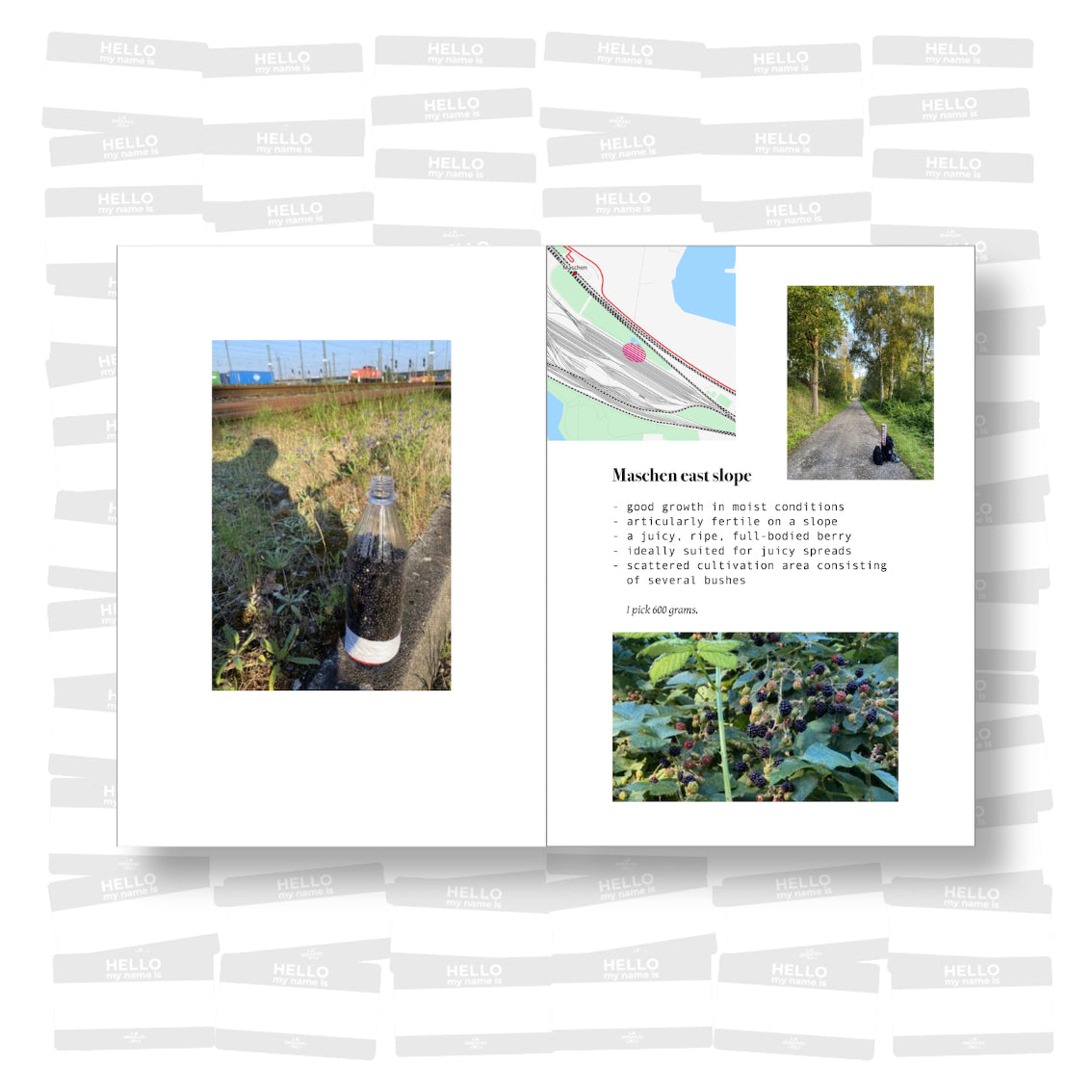 Jens Besser - Rubus Hobos