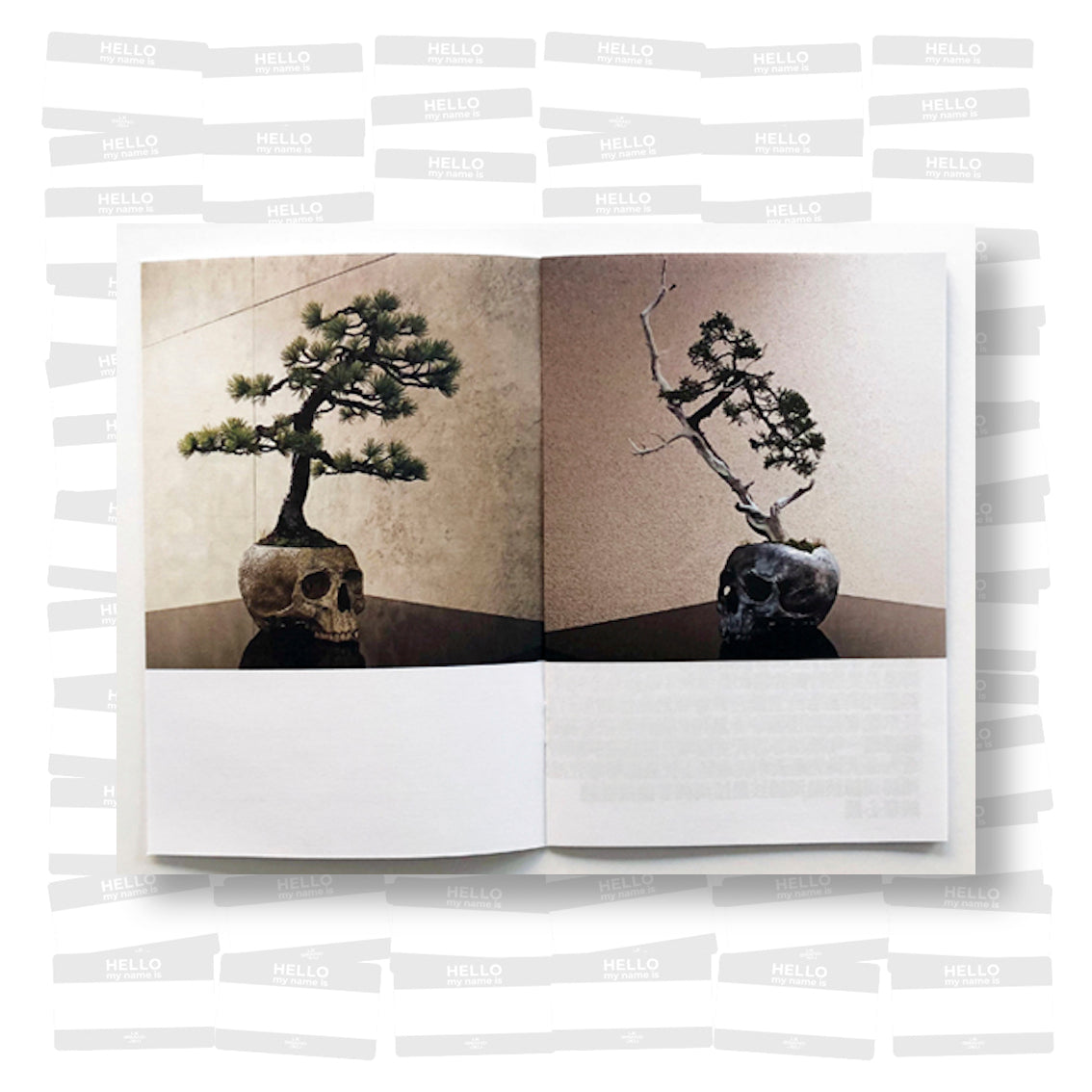 Kazumichi Maruoka - Death