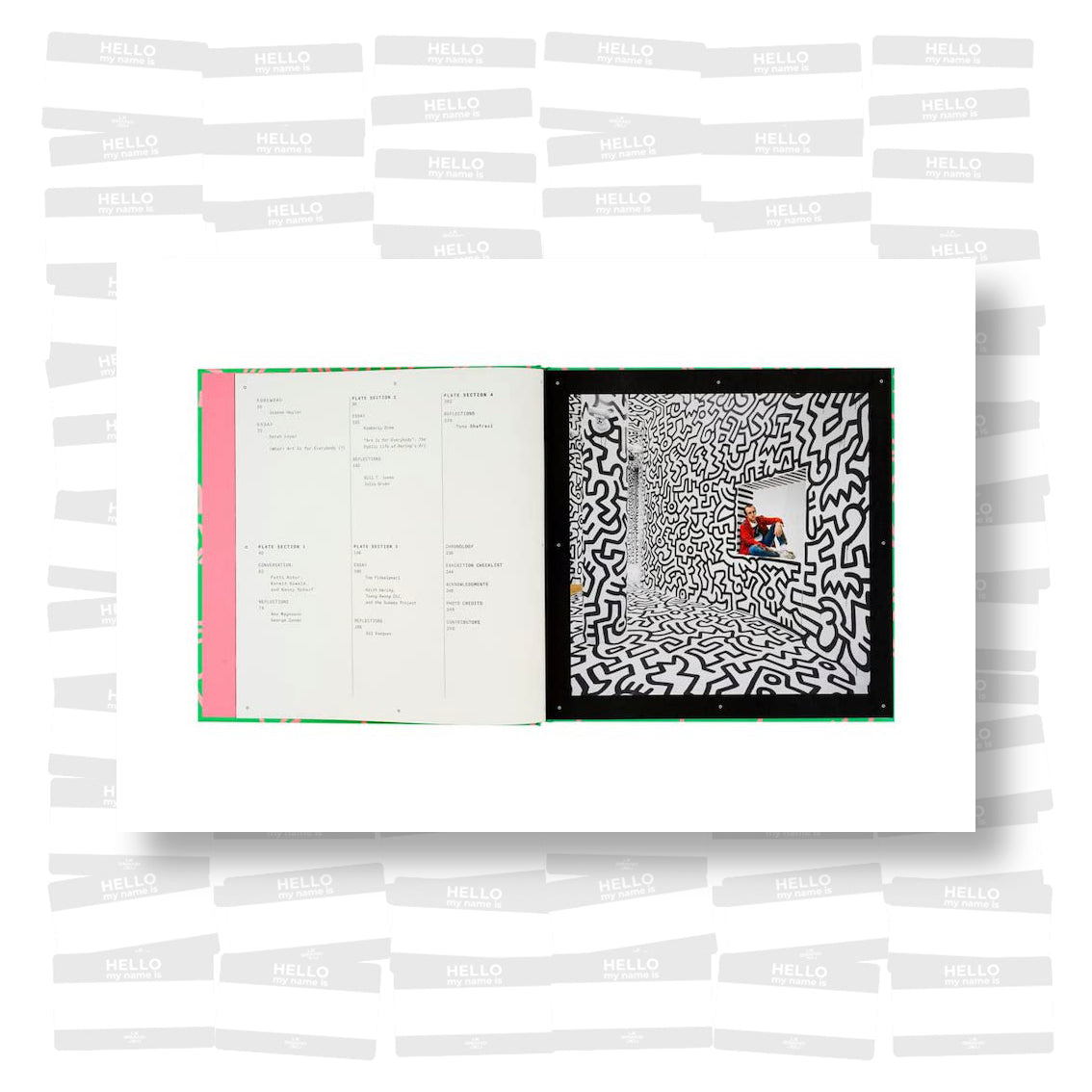 Keith Haring: Art Is for Everybody