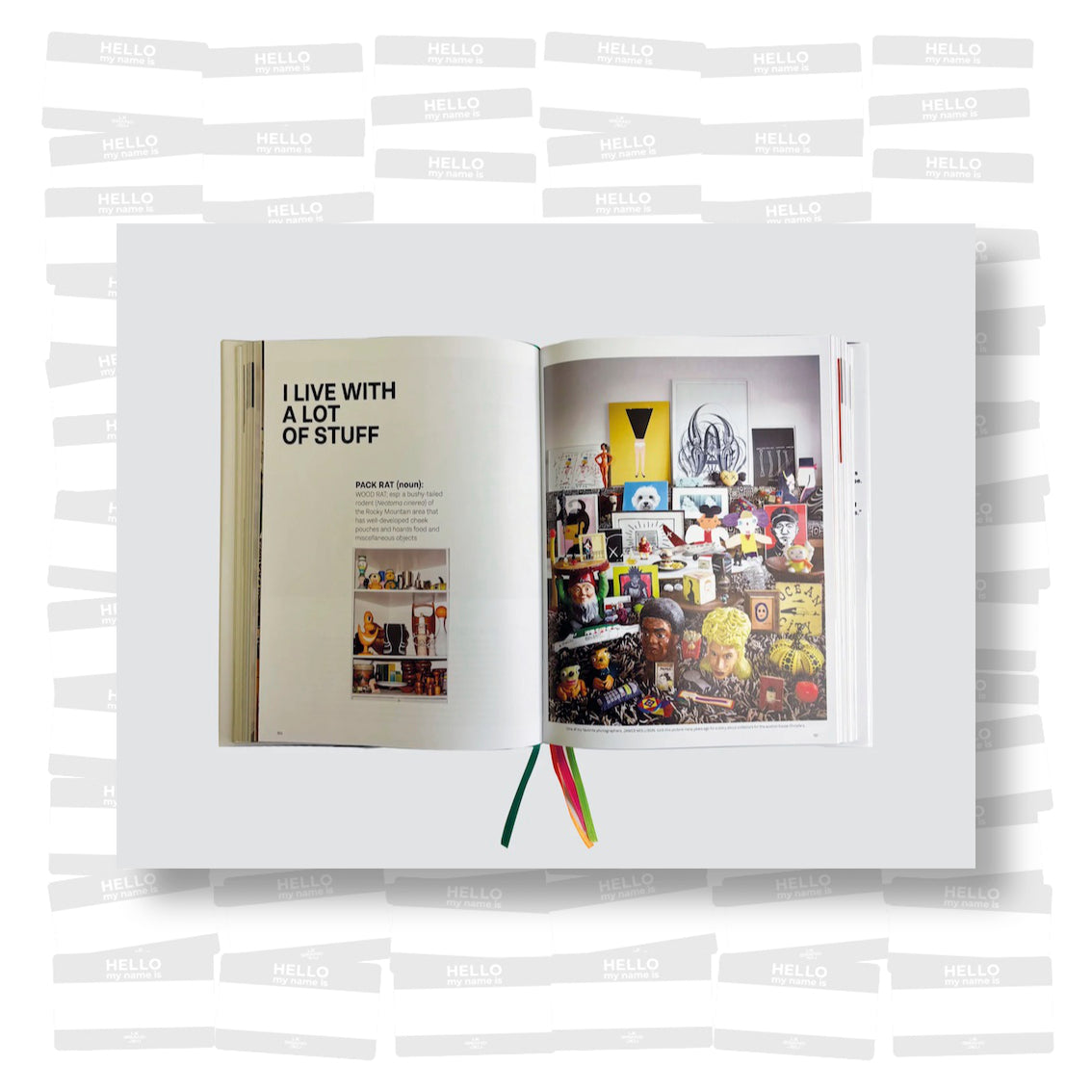 Kim Hastreiter - Stuff: A New York Life of Cultural Chaos