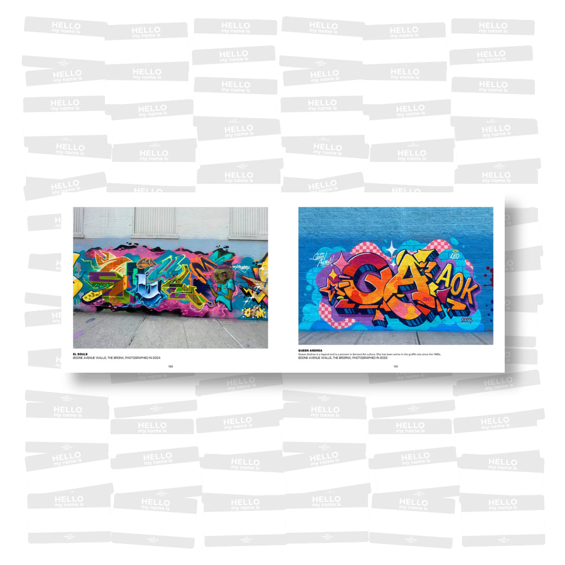 Kurt Boone - Aerosol Art Kings : Photographs of Street Art in New York City, 2018–2024