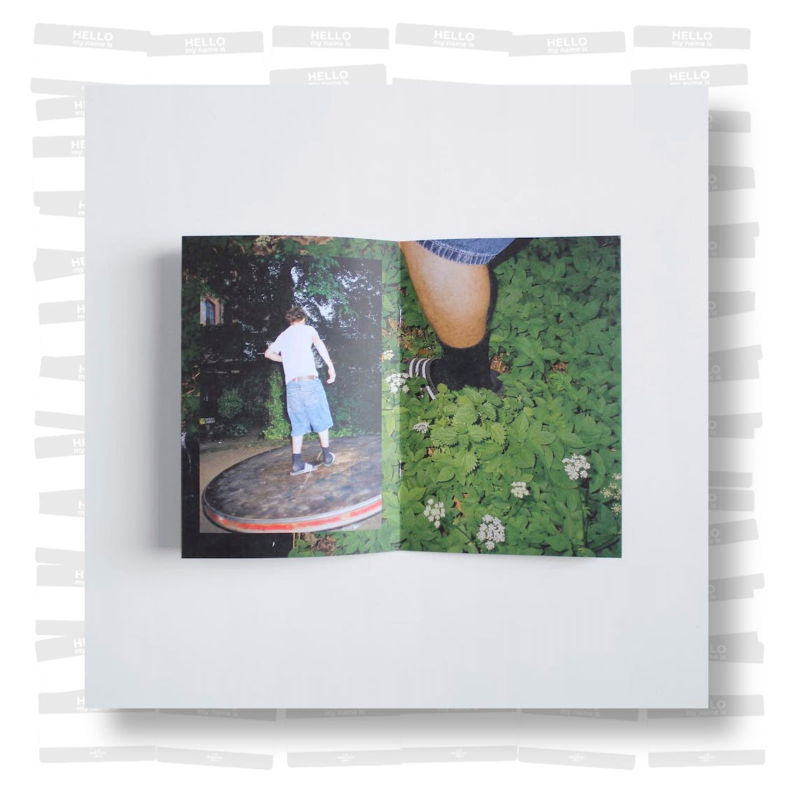 Leander Lauri - Hamburgs Lieblinge