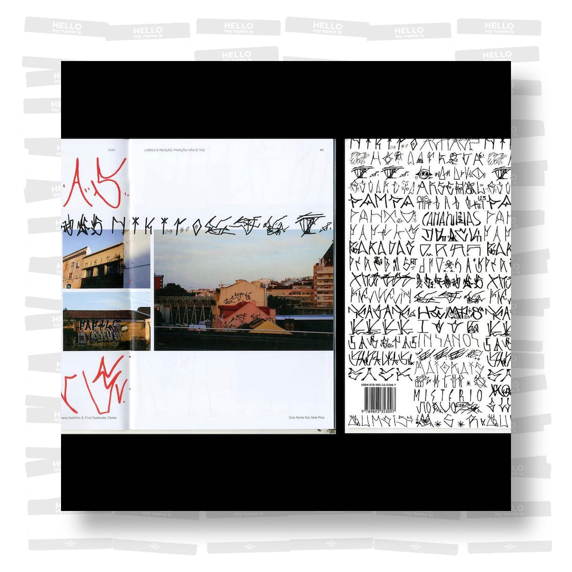 Ana Moraes - Lisboa e Reação: pixação não é tag